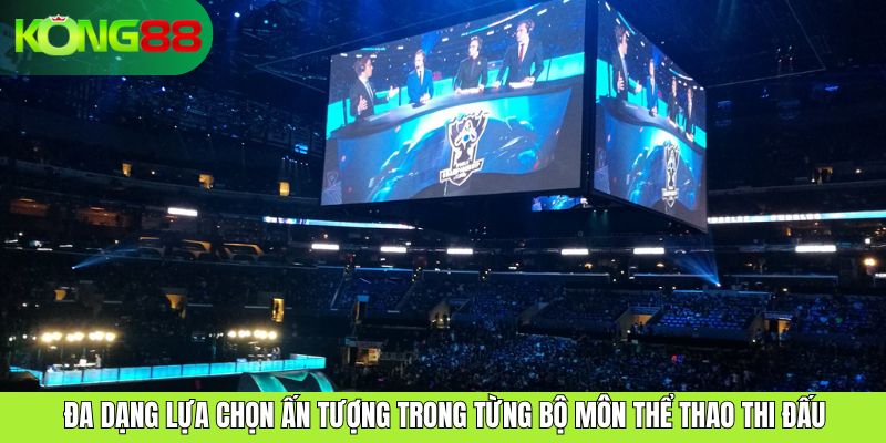 Đa dạng lựa chọn ấn tượng trong từng bộ môn thể thao thi đấu