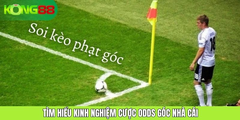 Tìm hiểu kinh nghiệm cược odds góc nhà cái